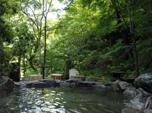 Hotel Nanpuso Hakone Kültér fotó